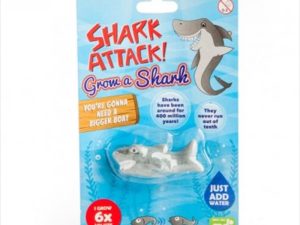 Grow A Shark